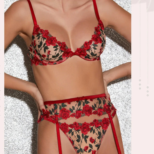 Red Floral Embroidery Lace Sheer See Through Lingerie Set